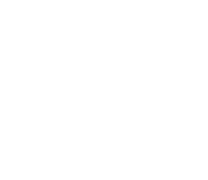 GourmetPetChef.com Small Kibble Dog Food