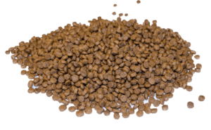 Best Prescription Dog Food for Your Furry Friend 1 Chicken dog kibble.