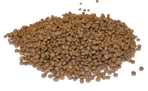 Small kibble dog food.
