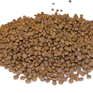 Small kibble dog food.