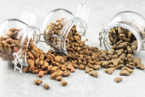 Delicious and Nutritious: The Benefits of Tasty Dog Kibble for Your Furry Friend