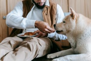 Dog Mealtime Behavior Problems: Tips for Calm and Happy Meals