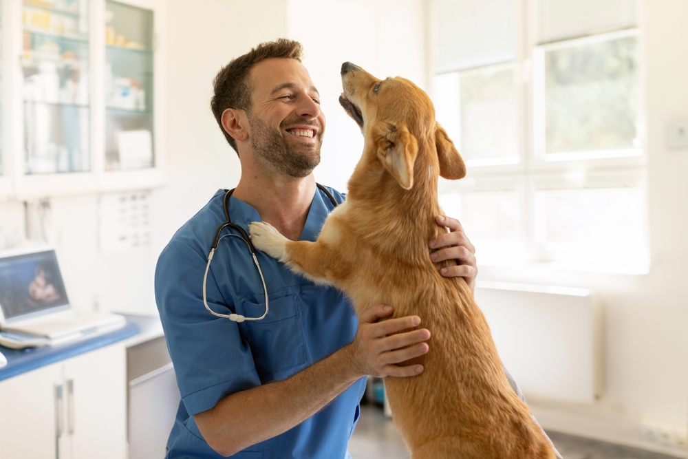 Veterinarian taking care of a dog.