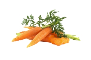 Discover The Kibble For You 10 carrots