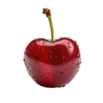 Discover The Kibble For You 4 cherry