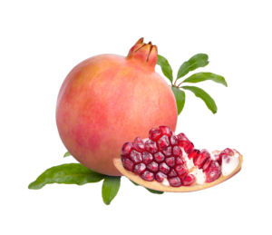 Discover The Kibble For You 1 pomegranate