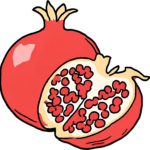 Discover The Kibble For You 8 pomegranate sliced in half isolated on white background