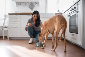 A woman feeding her dog from a bowl.