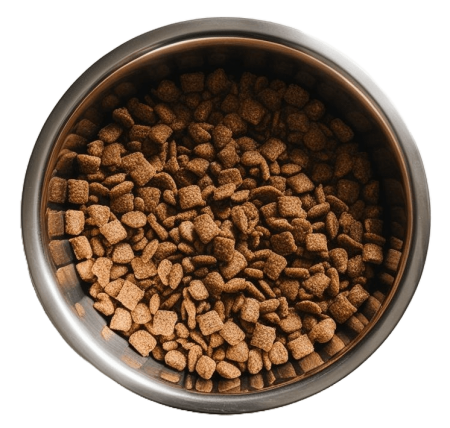 dog bowl dog bowl